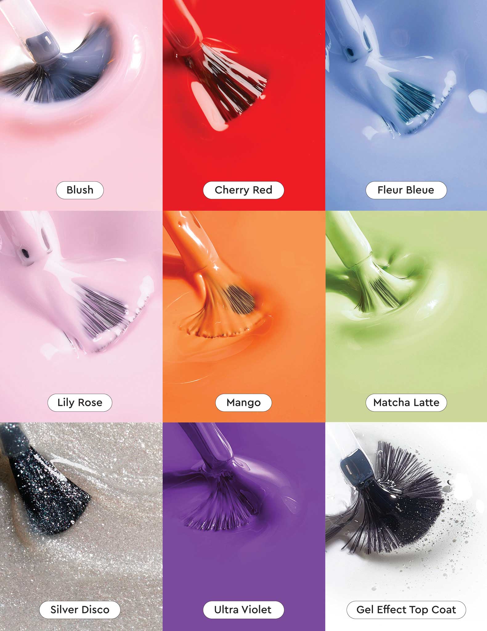 Le Sweet PR Box - Color Collage